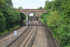 The Royal Windsor Steam Express