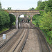 The Royal Windsor Steam Express