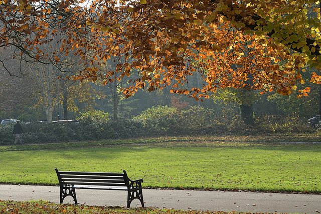 HBM ~ The beauty of Autumn