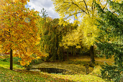 Herbst im Schloss Burgk in Freital