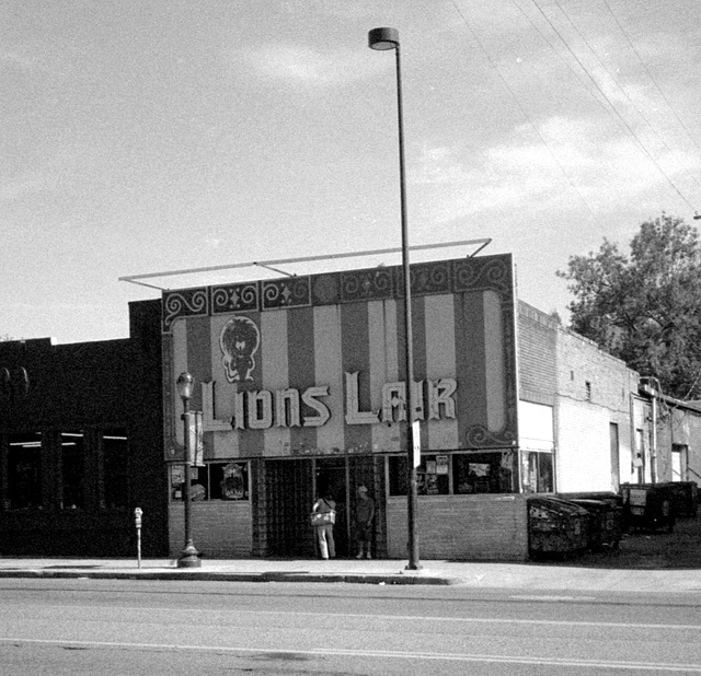 Lion's Lair