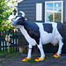 The Clog Makers Cow!