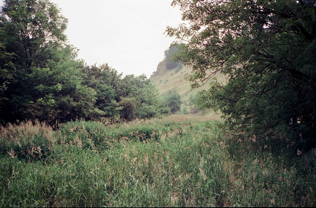 Lathkill Dale (Scan from July 1991)