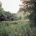 Lathkill Dale (Scan from July 1991)