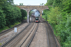 The Royal Windsor Steam Express