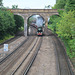 The Royal Windsor Steam Express