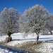 Sonniger Wintertag bei -10°C am Limpach bei Messen