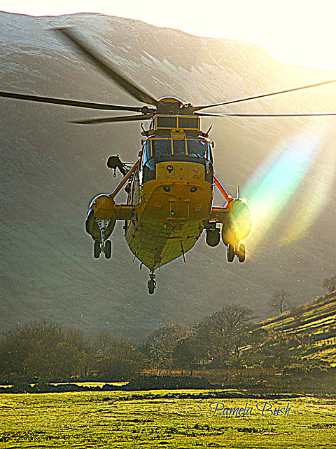 SAR  SeaKing- Landing