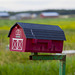 Country Mail Box