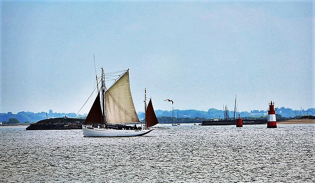 notre Biche rade de LORIENT (56)