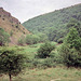 Lathkill Dale (Scan from July 1991)