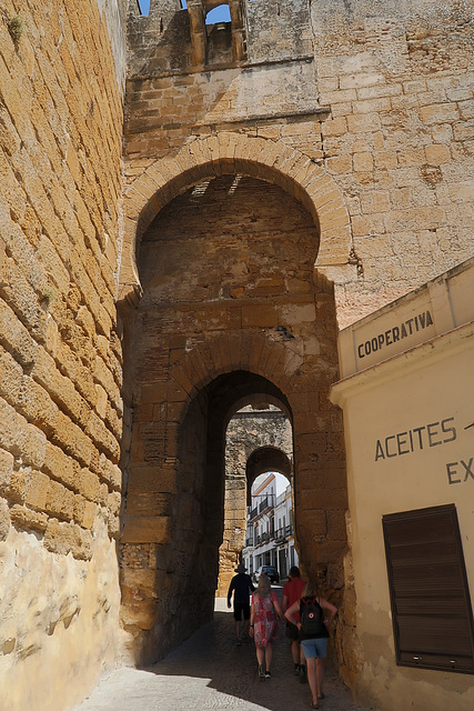 Alcázar de la Puerta de Sevilla