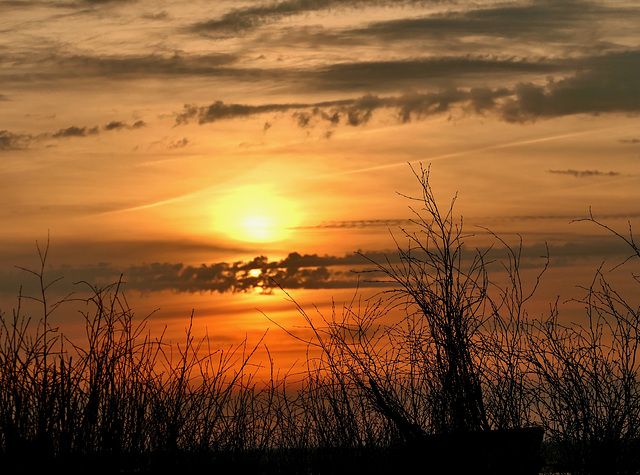 Sonnenuntergang Sonnenuntergang