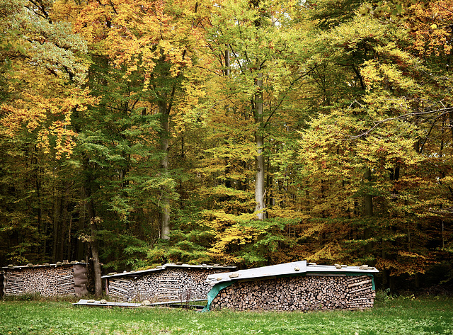 Holz ohne Hütte