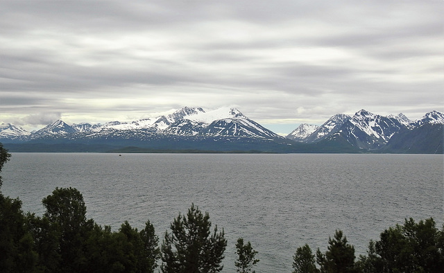 Bei Nordmannvik