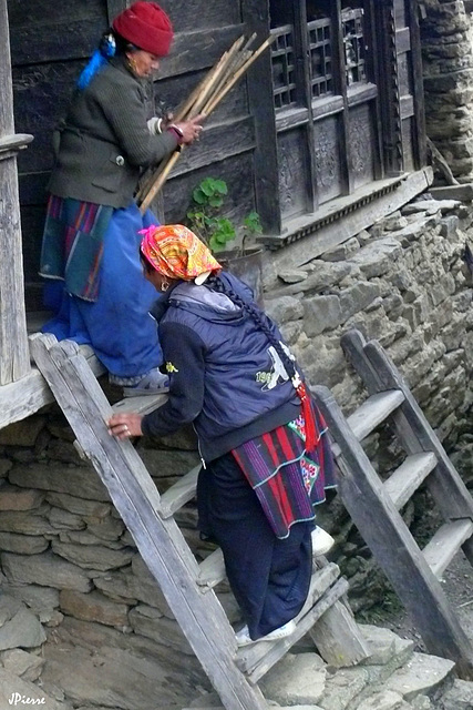 Vallée de Langtang Népal