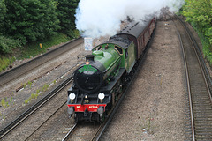 The Royal Windsor Steam Express