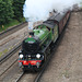 The Royal Windsor Steam Express