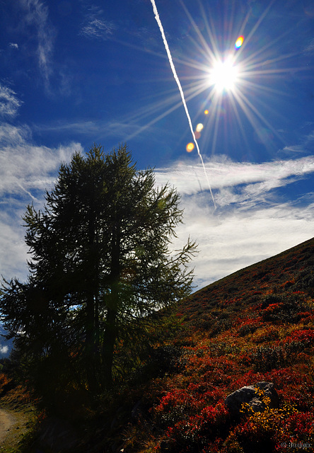 auf dem Weg zum Kölnerhaus  (© Buelipix)