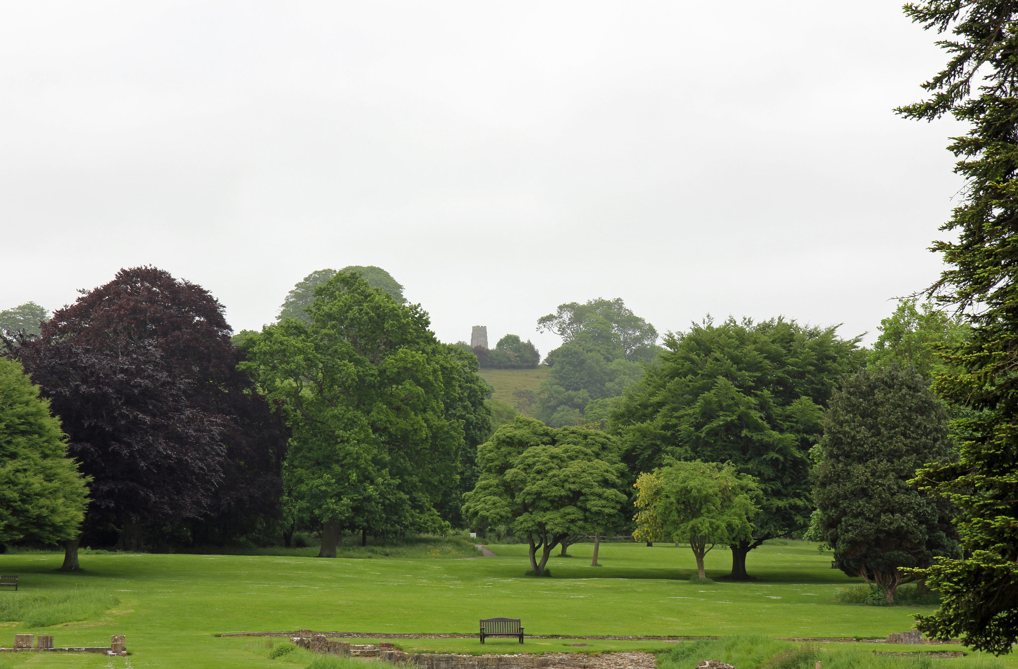 Glastonbury Tor from Glastonbury Abbey