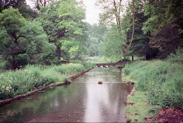 River Bradford (Scan from July 1991)