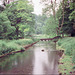 River Bradford (Scan from July 1991)