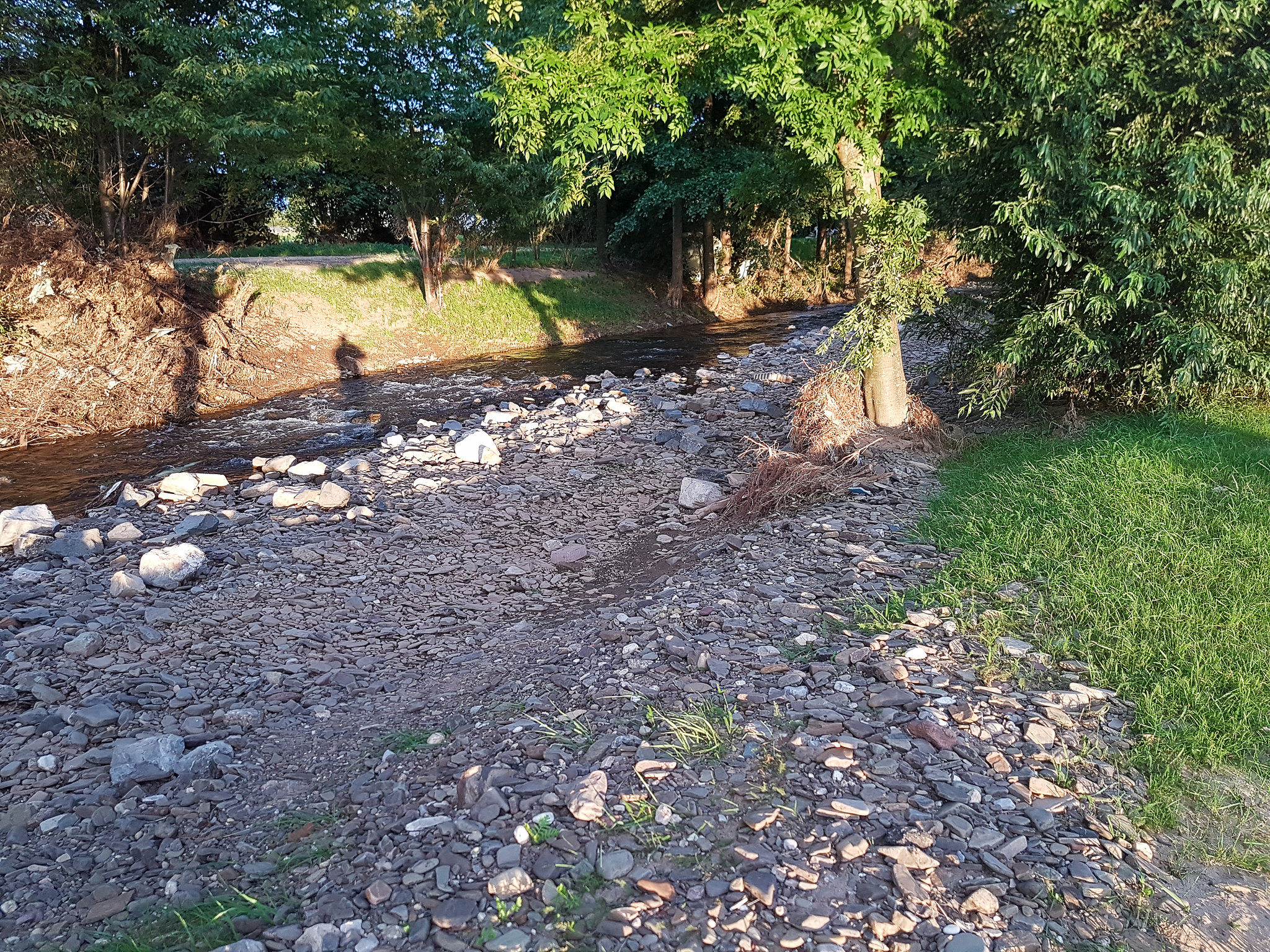 Die Erft nach der Flut