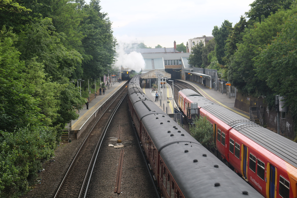 The Royal Windsor Steam Express