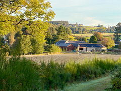 Autumn colours