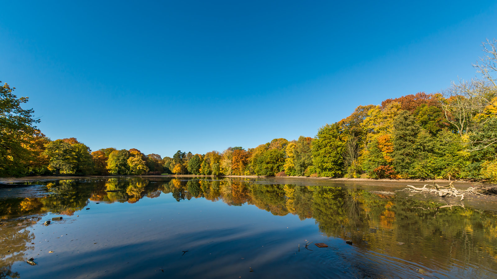 Stadtparkteich - indian summer