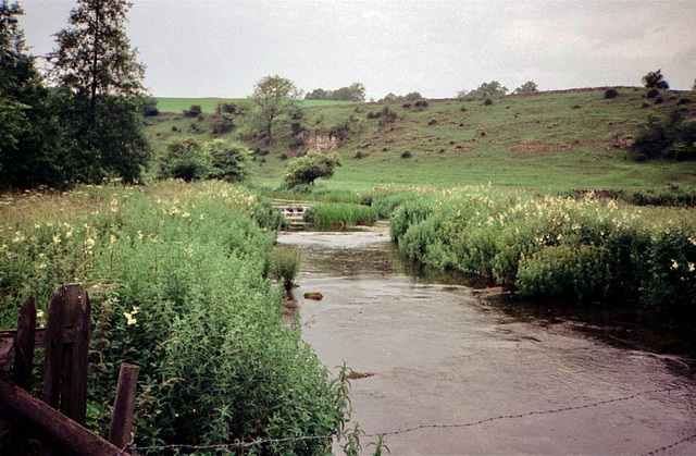 Looking upstream on the River Lathkill from Alport (Scan from July 1991)