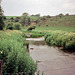 Looking upstream on the River Lathkill from Alport (Scan from July 1991)