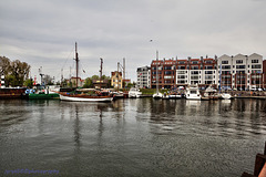 Marina Gdańsk (2)