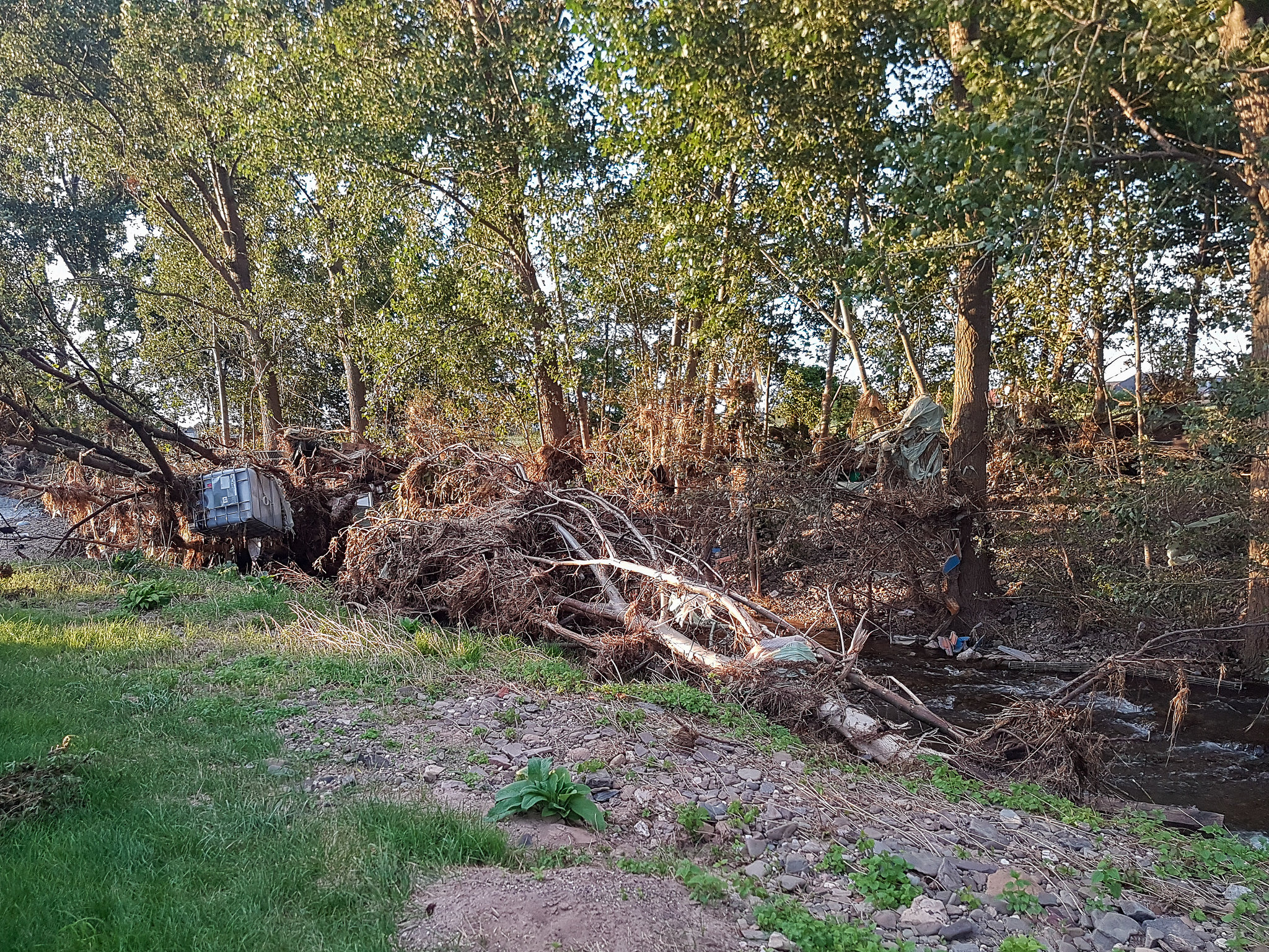 Die Erft nach der Flut