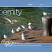 ipernity homepage with #1517