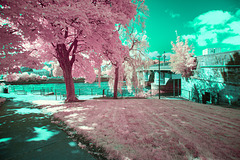 Dumbarton Bridge - Infrared