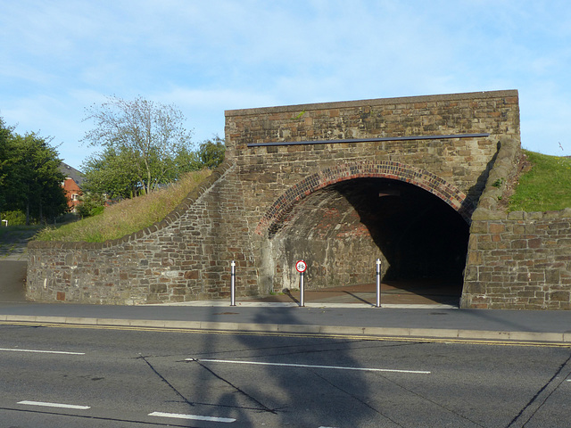 Swansea Railway Remains (1) - 26 June 2015