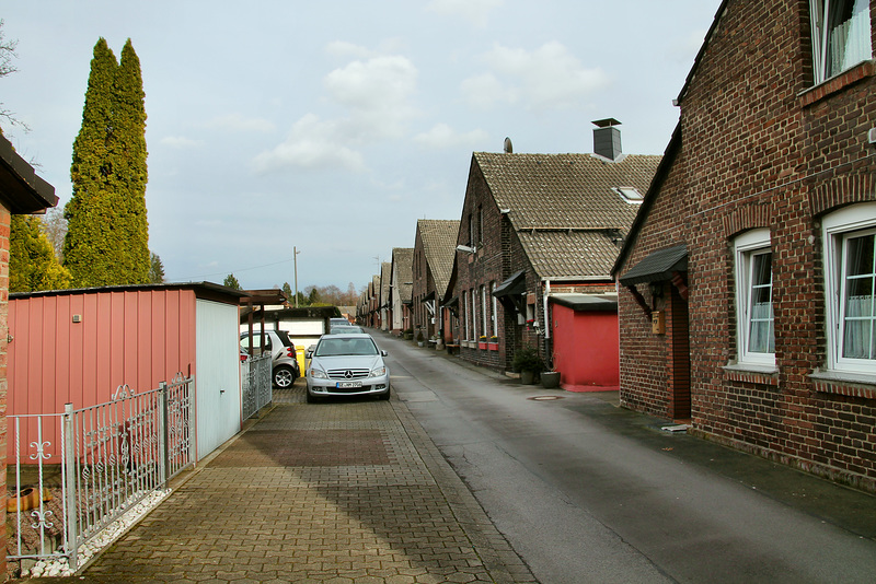 Zechensiedlung Grawenhof (Gelsenkirchen-Hessler) / 11.03.2018