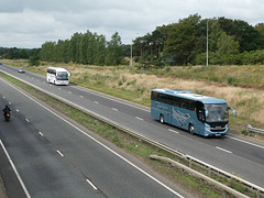 Falcon Coaches YN18 SBY and LJ17 WPF on the A11 at Red Lodge - 14 Jul 2019 (P1030127)