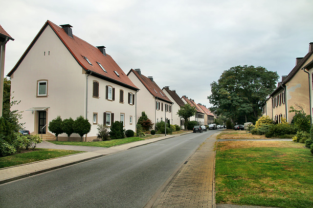 Hiberniastraße (Bereitschaftssiedlung, Marl) / 27.08.2022