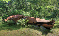 The wreck of DS Lodalen