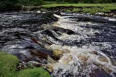 A River of Guinness - Heaven:0)