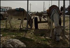 Taxi rank