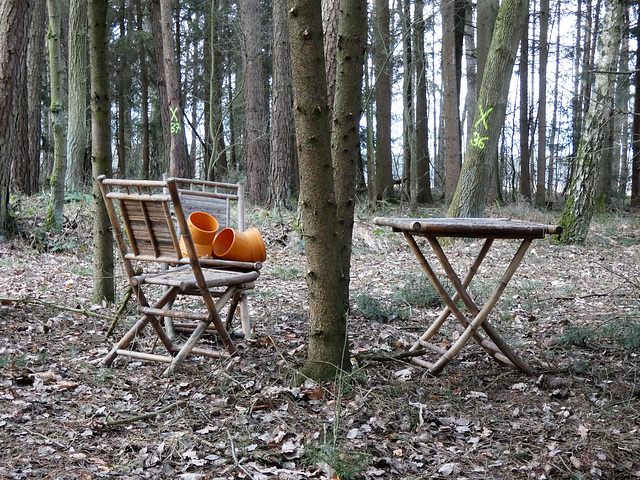 Wohnzimmer im Wald