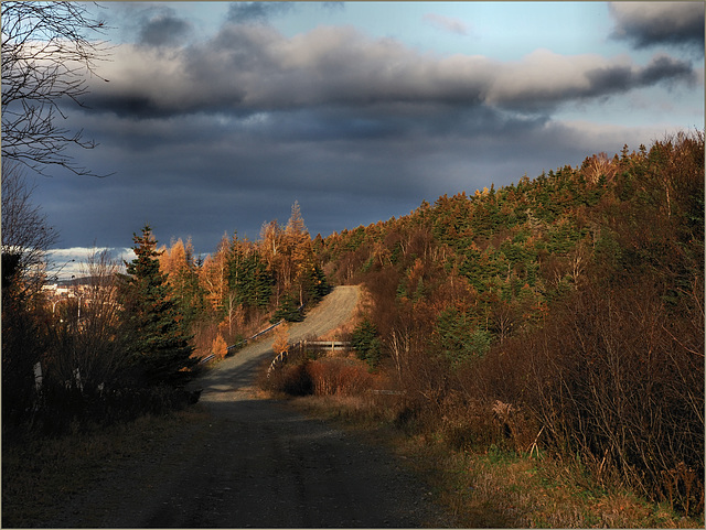 November afternoon walk