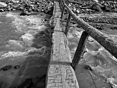 Nisqually River