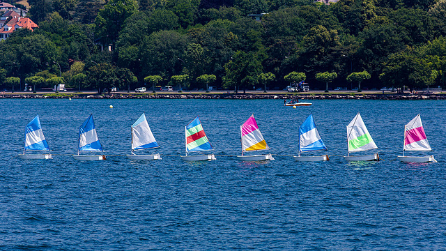 130708 voiles Geneve