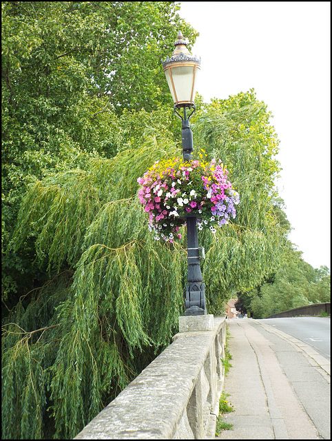 floral lamp post