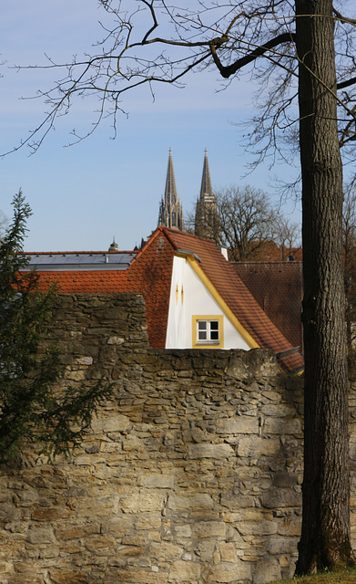 cathedral view