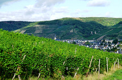 Blick von Bachem nach Ahrweiler